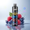 JNR Joker 24K Blueberry Red Raspberry 800mAh 2% Nicotine