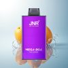 JNR Mega Box 25000 Triple Mango 30ml 850mAh