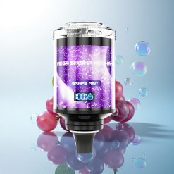 JNR Mega Shisha Hookah 100K Grape Mint 2200mAh 2% Nicotine