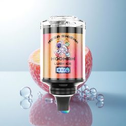 JNR Mega Shisha Hookah 100K Lush Ice 2200mAh 2% Nicotine