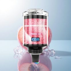 JNR Mega Shisha Hookah 100K Peach Ice 2200mAh 2% Nicotine