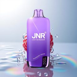 JNR Rainbow 10500 Raspberry Grape 600mAh 18ml