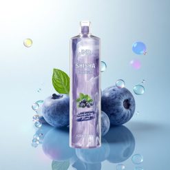 JNR Shisha Hookah 12000 Blueberry Mint 750mAh 24ml 0% Nicotine