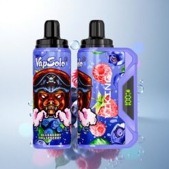 VapSolo VIKING 12000 Puffs Blueberry Raspberry Type-C 22ml Nicotine Disposable Vape