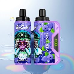 VapSolo VIKING 12000 Puffs Blueberry Type-C 22ml Nicotine Disposable Vape