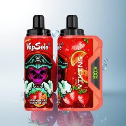 VapSolo VIKING 12000 Puffs Strawberry Watermelon Type-C 22ml Nicotine Vape