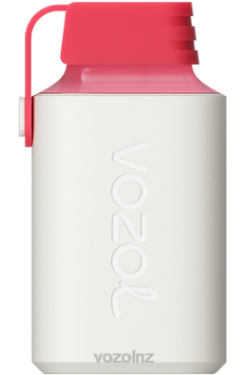 VOZOL Disposable Vape NZ - VOZOL GEAR 600 STRAWBERRY RASPBERRY CHERRY FDF0358