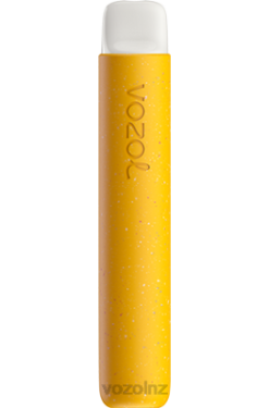VOZOL Disposable Vape NZ - VOZOL STAR 600 BANANA ICE FDF072