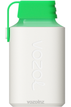 VOZOL Disposable Vape - VOZOL GEAR 600 LEMON MOJITO FDF0352