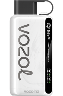 VOZOL Disposable Vape - VOZOL STAR 9000/12000 TOBACCO FDF033