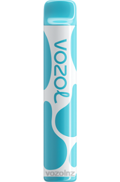 VOZOL Flavours NZ - VOZOL JOYGO 600 BLUEBERRY SOUR RASPBERRY FDF0377