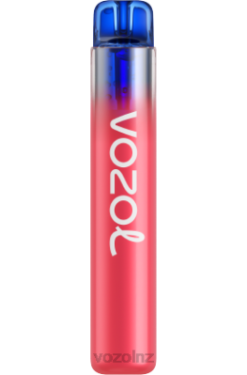 VOZOL Vape Flavours NZ - VOZOL NEON 800 BLUEBERRY ICE FDF0283