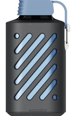 VOZOL Vape Flavours - VOZOL GEAR 10000 BLUE RAZZ LEMON FDF0285