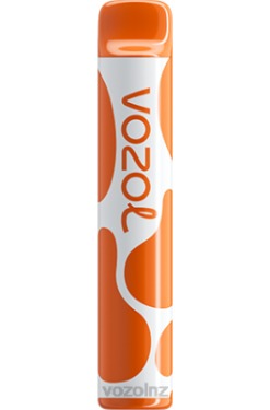 VOZOL Vape Flavours - VOZOL JOYGO 600 LOVE 777 FDF0384