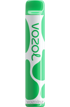 VOZOL Vape Flavours - VOZOL JOYGO 600 WATERMELON ICE FDF0395