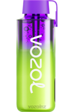 VOZOL Vape Flavours - VOZOL NEON 10000 WATERMELON ICE FDF0241