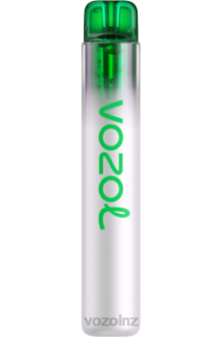 VOZOL Vape Flavours - VOZOL NEON 800 LEMON MOJITO FDF0274