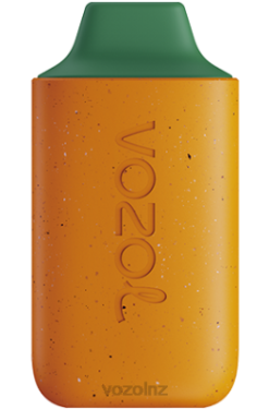 VOZOL Vape Flavours - VOZOL STAR 6000 MANGO PEACH WATERMELON FDF0120