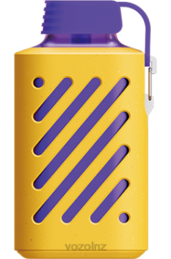 VOZOL Vape Price - VOZOL GEAR 10000 LEMON LIME FDF0317