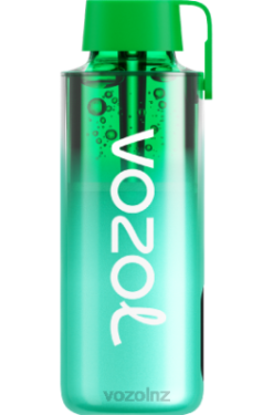 VOZOL Vape Price - VOZOL NEON 10000 MIAMI MINT FDF0229