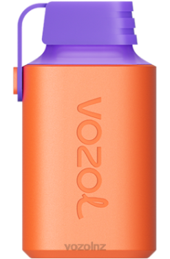 VOZOL Vape Wellington - VOZOL GEAR 600 CRANBERRY GRAPE ICE FDF0348
