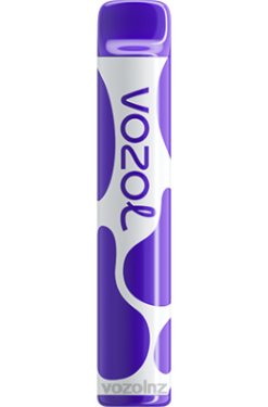 VOZOL Vape Wellington - VOZOL JOYGO 600 GRAPE ICE FDF0381