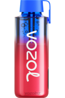 VOZOL Vape Wellington - VOZOL NEON 10000 FROZEN STRAWBERRY KIWI FDF0227