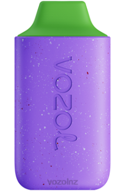 VOZOL Wholesale NZ - VOZOL STAR 6000 ALOE GRAPE FDF0103